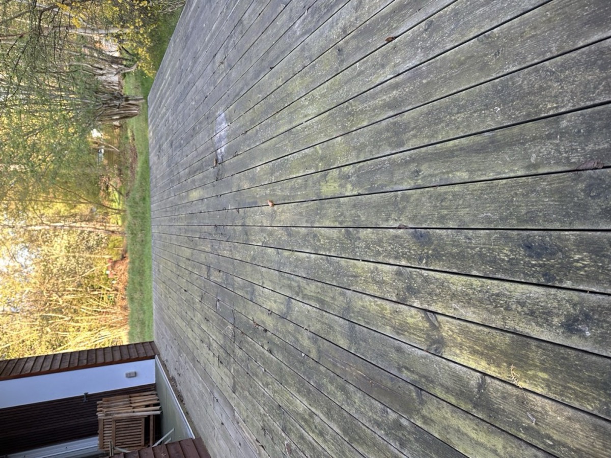 Før: Træterrasse ud mod en skovhave